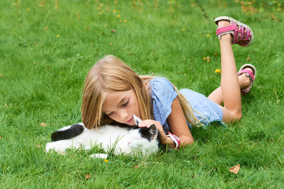 Tiere - Urlaub am Bauernhof in Flachau, Salzburger Land Tiere - Urlaub am Bauernhof in Flachau, Salzburger Land